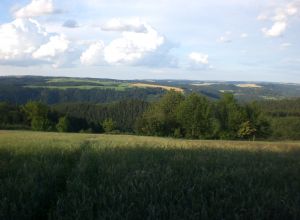 Thüringer Landschaft bei Drognitz