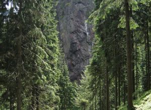 Falkenstein im Thüringer Wald